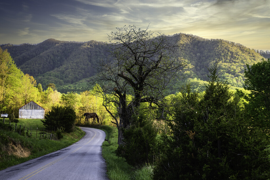 Country Road in the Smoky Mountains with Spring Colors by myhrhelper