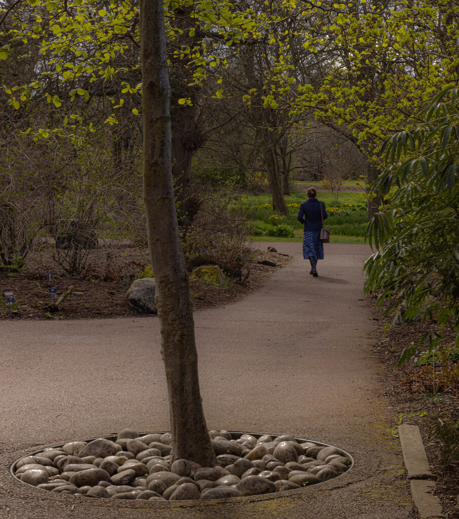A walk in the park……… by billdavidson