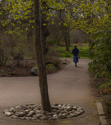 22nd Apr 2023 - A walk in the park………