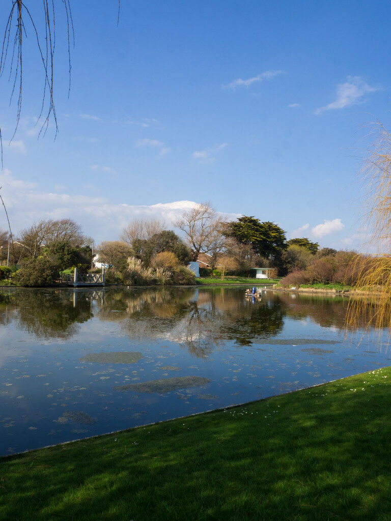 Mewsbrook Park reflections by josiegilbert