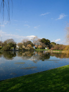 17th Apr 2023 - Mewsbrook Park reflections
