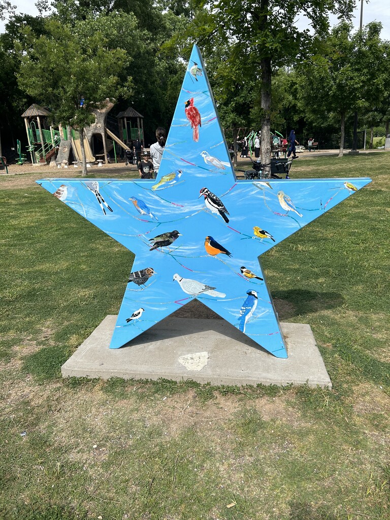 Birds on a Texas Star. by bellasmom