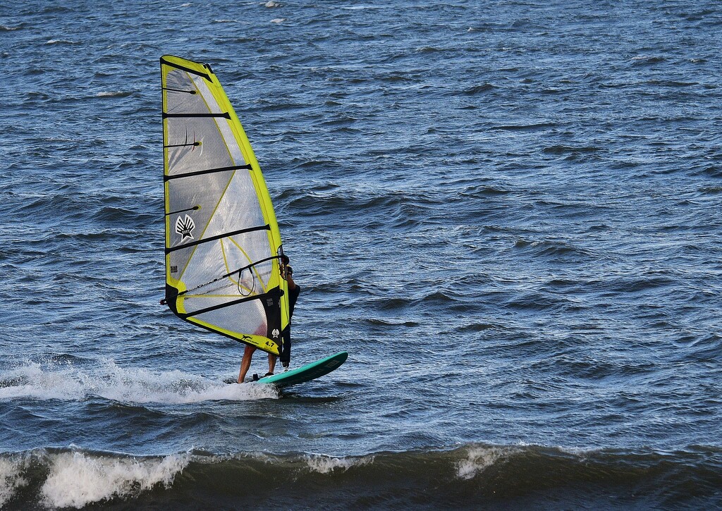 windsurfer scarborough by mirroroflife
