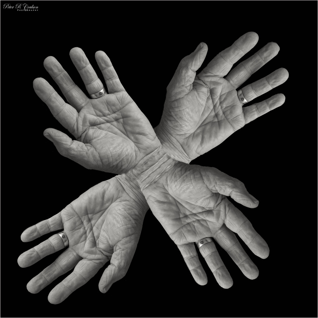 Hands by pcoulson