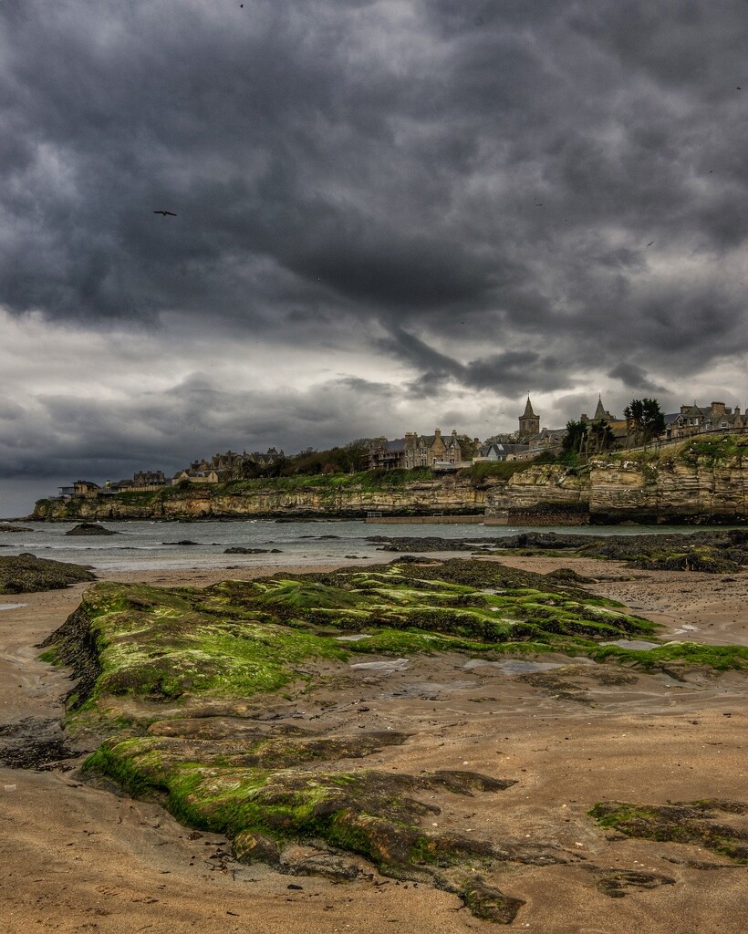 Looking back towards the town of St Andrews. by billdavidson