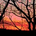 Sunset on April 12, 2023 by olivetreeann