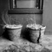 Two Garden Pots by olivetreeann