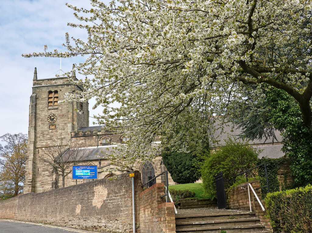 The Blossom at St. Mary's  by phil_howcroft