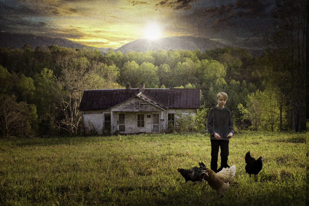 boy with chickens in country TN by myhrhelper