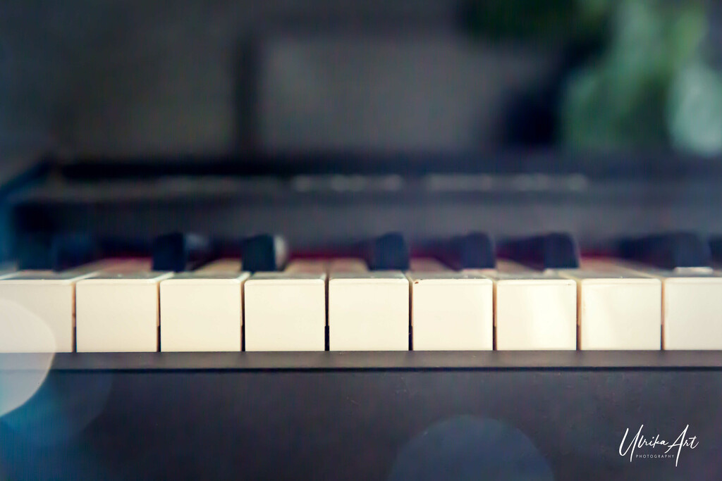keyboard by ulla