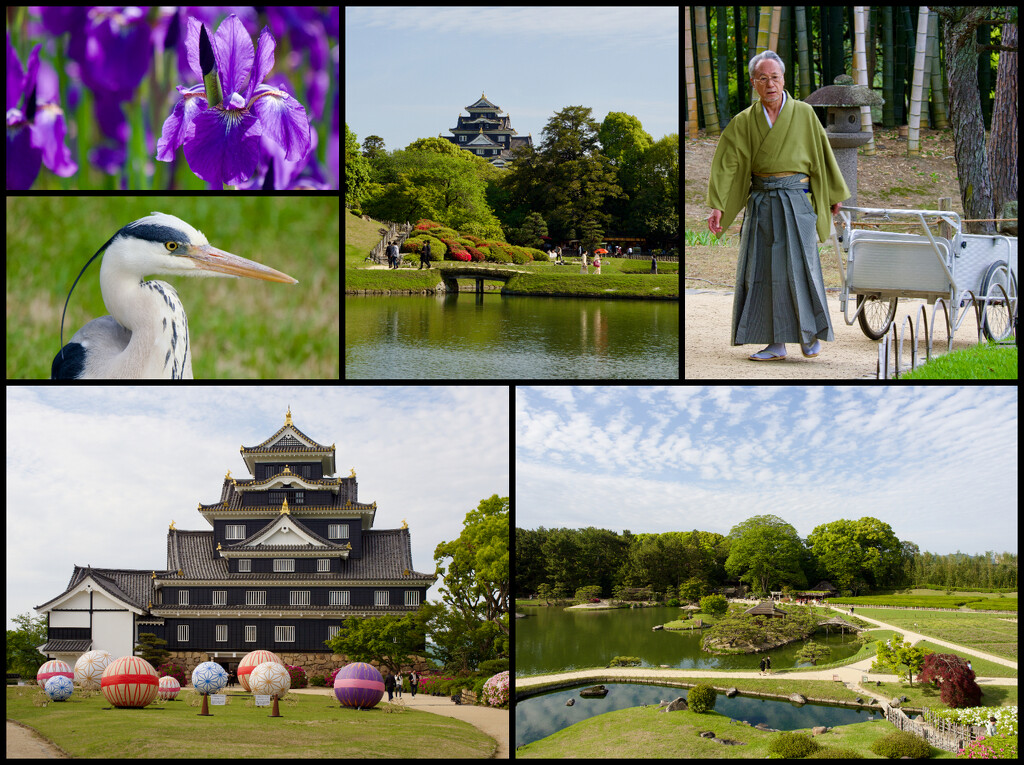 Korakuen Garden and Okayama Castle by merrelyn