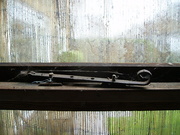 23rd Apr 2023 - shed window and reed screen