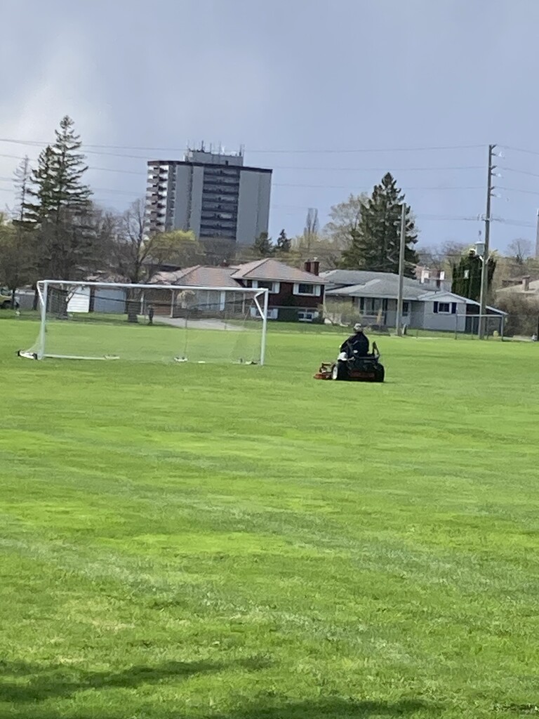 Mowing the Playing Field  by spanishliz