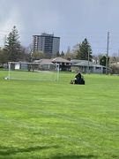 24th Apr 2023 - Mowing the Playing Field 