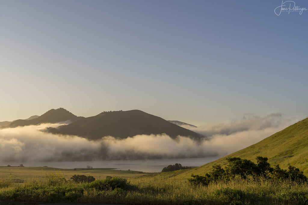 Fog at Carrizo Plains  by jgpittenger