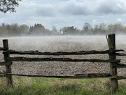 24th Apr 2023 - Misty Field