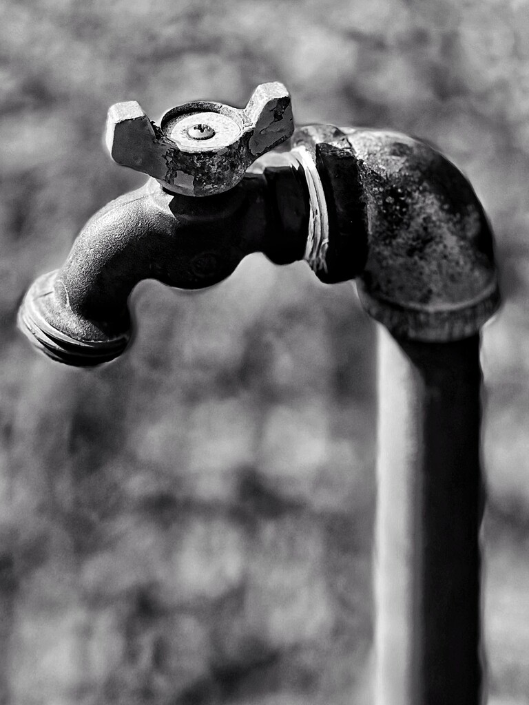 Faucet  by eahopp