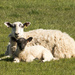 Mother and Toddler by shepherdman