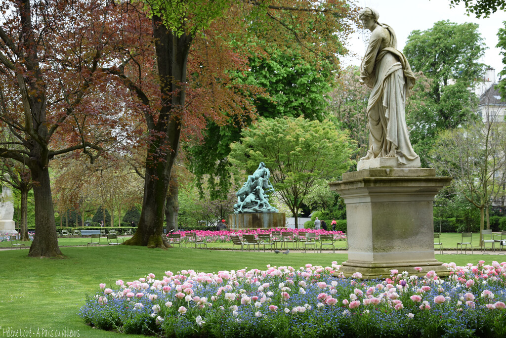 Spring in the Luxembourg garden by parisouailleurs