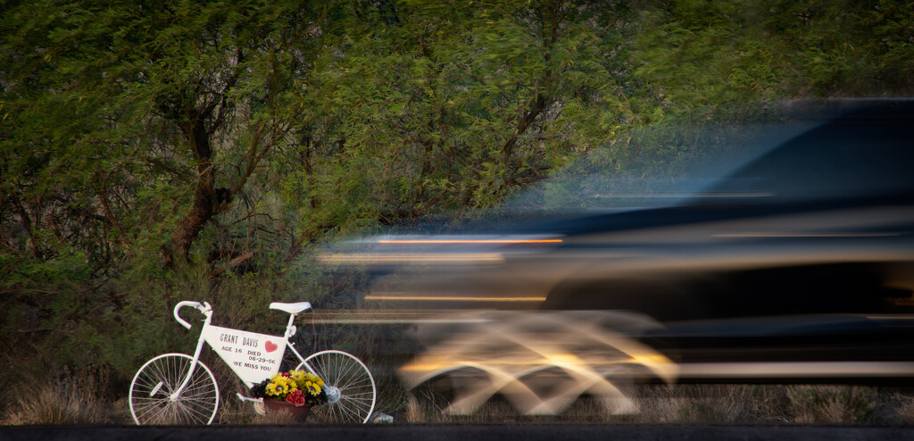 Roadside Memorial to Intersecting Lives by 365projectorgbilllaing