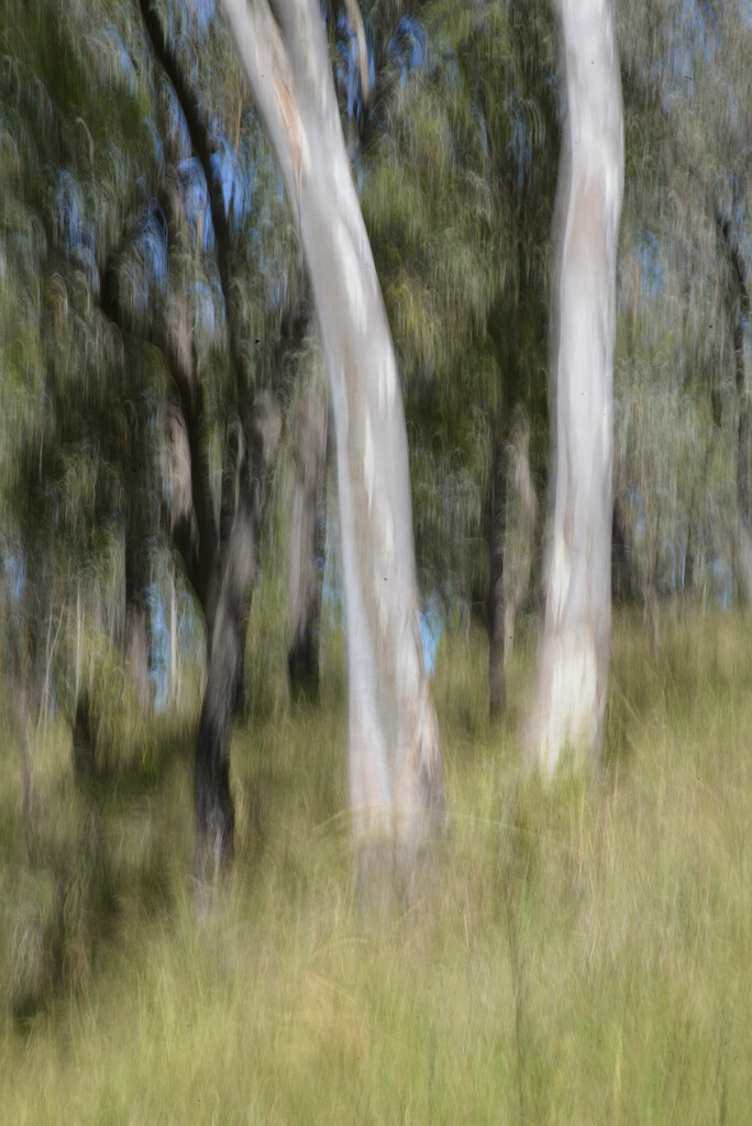 ICM: walk in the gully by jeneurell