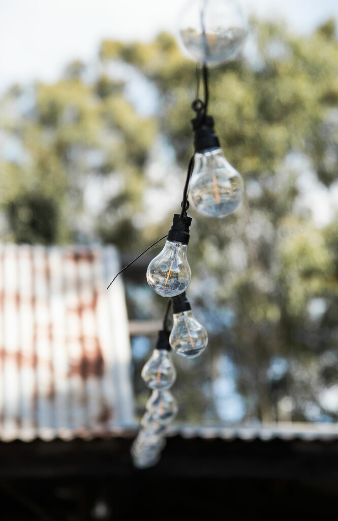 Depth of field: Hivesville lightbulbs by jeneurell