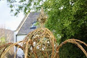 26th Apr 2023 - Living Willow Crown