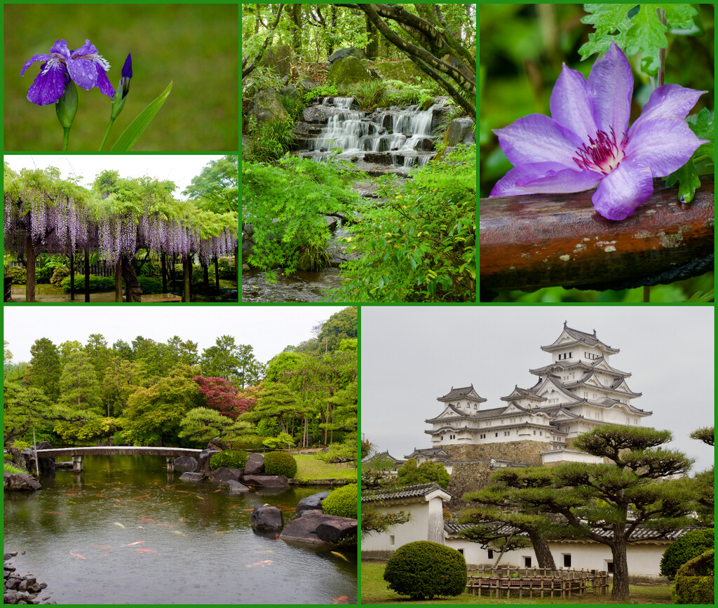 Himeji Castle And Kokoen Garden by merrelyn