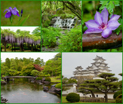 25th Apr 2023 - Himeji Castle And Kokoen Garden