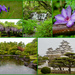 Himeji Castle And Kokoen Garden by merrelyn