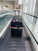 25th Apr 2023 - Runaway Suitcase 
