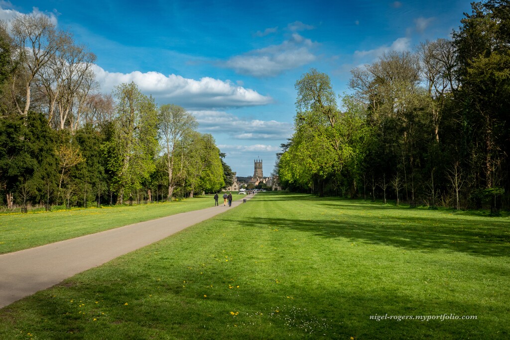 Cirencester Park by nigelrogers