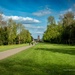 Cirencester Park by nigelrogers