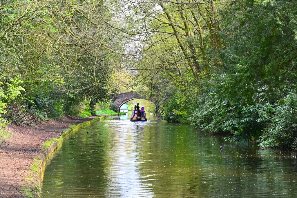 Bridgewater Canal  by wendystout