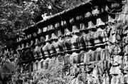26th Apr 2023 - A stone wall from the past