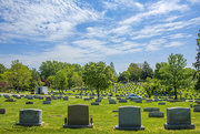 25th Apr 2023 - Calvary Cemetery