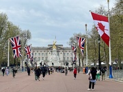 27th Apr 2023 - Buckingham Palace 