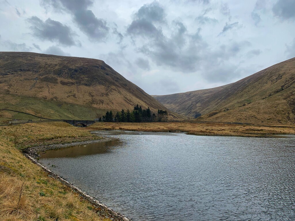 In the Scottish Borders. by billdavidson