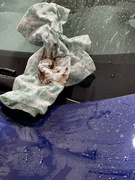 27th Apr 2023 - Drying off my car