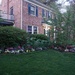 Lovely Landscaping by allie912