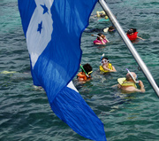 13th Apr 2023 - Snorkeling in Honduras 