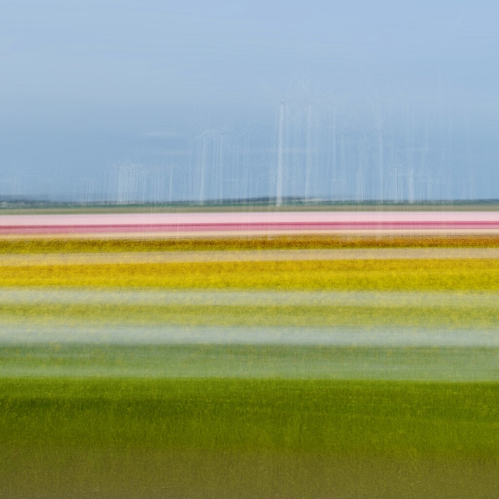 Dutch tulips and windmills by stimuloog