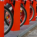 0422 - Bikes for rent by bob65