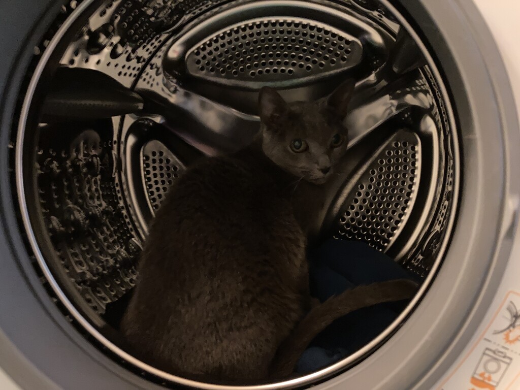 Washing machine check  by katriak
