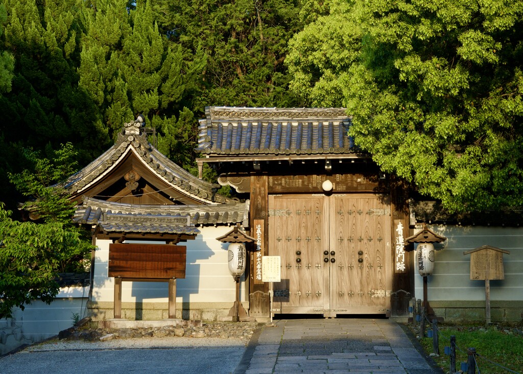 Shoren-in Temple, Kyoto P4280063 by merrelyn