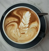 29th Apr 2023 - Todays coffee is a fern