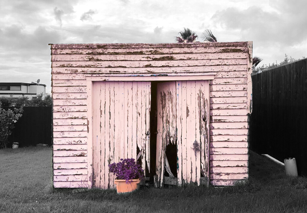 Shed by brigette