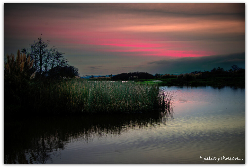 Dawn at the River... by julzmaioro