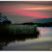 Dawn at the River... by julzmaioro