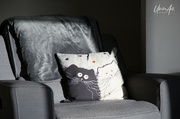 29th Apr 2023 - cat cushion